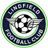 Logo of Lindfield FC