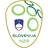 Logo of Slovenia U17