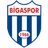 Logo of Bigaspor