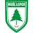 Logo of Muglaspor