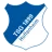 Logo of TSG Hoffenheim (Youth)