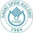 Logo of Gaskispor