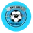 Logo of NFA
