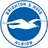 Logo of Brighton Hove Albion