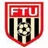 Logo of Flint Town