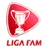 Logo for Malaysian FAM Cup