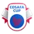 Logo for COSAFA Women's Cup