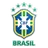 Logo for Brazilian Regional League