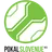 Logo for Slovenia Cup