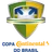 Brazilian Cup