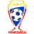 Logo for Venezuela Cup 2024
