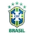 Logo for Brazilian Copa Rio null
