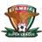 Logo for Zambia Super League 2024-2025