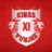 Logo for Indian Punjab Super League