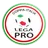 Logo for Italian Lega PRO Cup