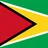 Logo for Guyana Elite League