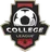 Logo for USA College League null