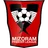 Logo for Indian Mizoram Premier League