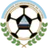 Logo for NIC L