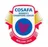 Logo for COSAFA Cup W