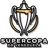 Logo for VEN Super Cup null