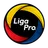 Ecuadorian Campeonato Serie B