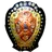 Logo for IND IFA Shield League