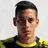 Picture of gaston sirino