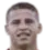 Picture of Teixeira leo
