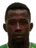 Picture of Hudson
