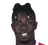 Picture of Pape Habib Gueye