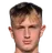 Picture of Kojic dino