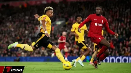 Nhận định Wolves vs Liverpool 04/03 khi Bầy sói dựa vào Matheus Cunha