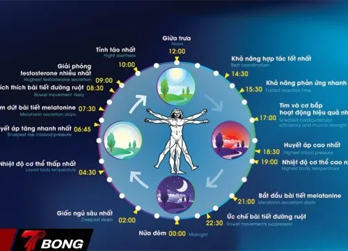 Giờ thi đấu ảnh hưởng thế nào đến phong độ các đội tại Ngoại hạng Anh