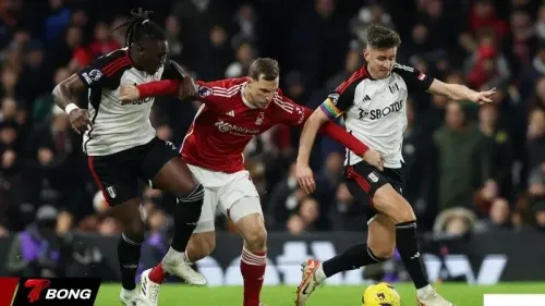 Nhận định Nottingham vs Fulham vòng 30 khi khắc tinh ghé thăm City Ground