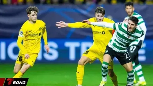 Bodo/Glimt Hạ Sporting CP 3-0 Tại Champions League