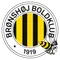 Bronshoj