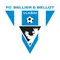 FK Graffin Vlasim