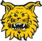 Ilves Tampere