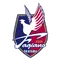 Fagiano Okayama
