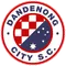 Dandenong City SC