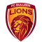 FC Bulleen Lions