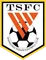 Shandong Taishan FC