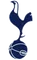 Tottenham Hotspur