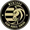 Wenzhou Professional Football Club
