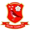 Logo for Selby Town