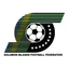 Logo of Solomon Islands Soccer
