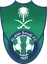 Logo of Al-Ahli Saudi FC (Youth)