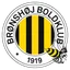 Bronshoj