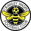 Crawley Wasps (w)